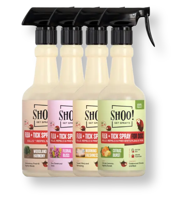 Flea & Tick Spray